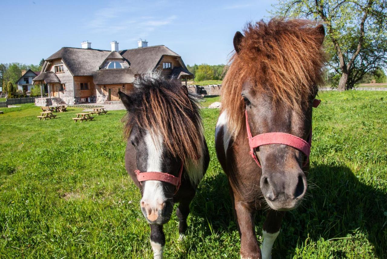 Siedlisko Wigry Bed & Breakfast Rosochaty Rog Exterior foto